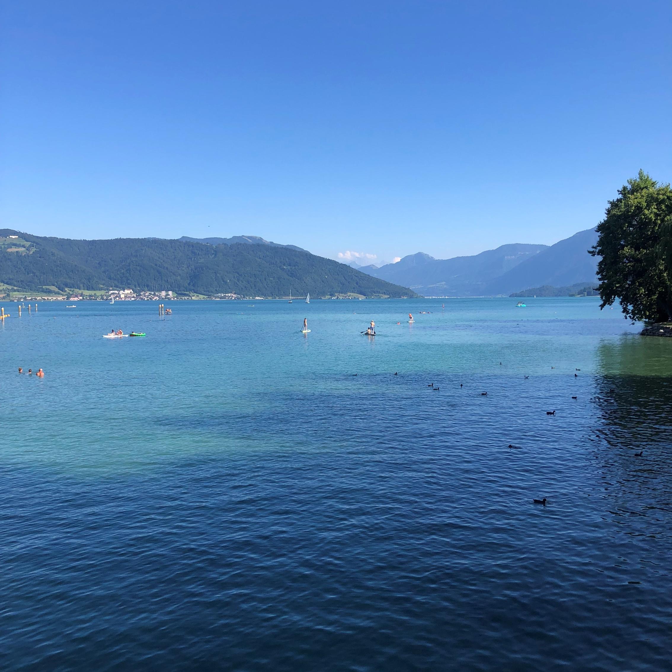 suiza2
