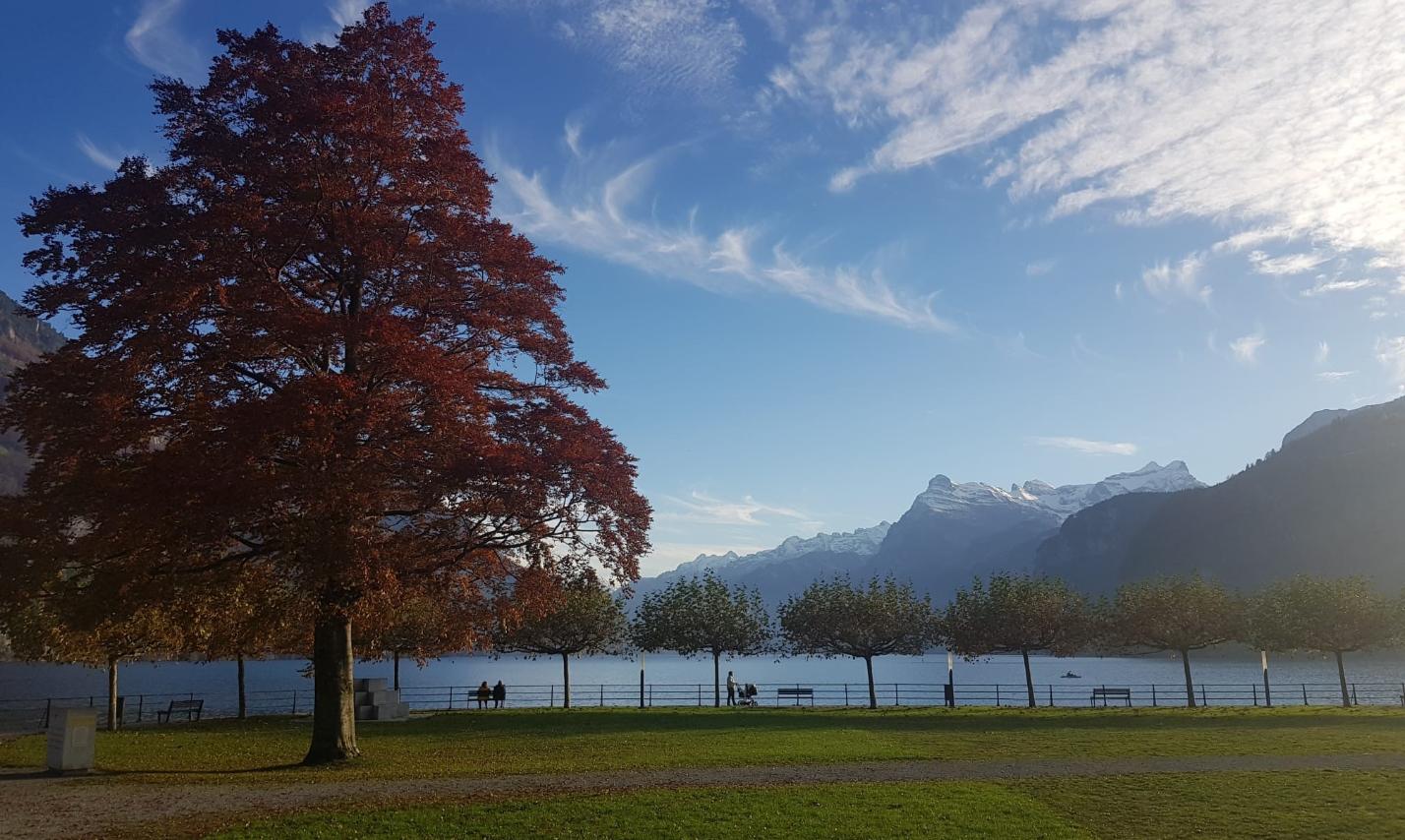 suiza3