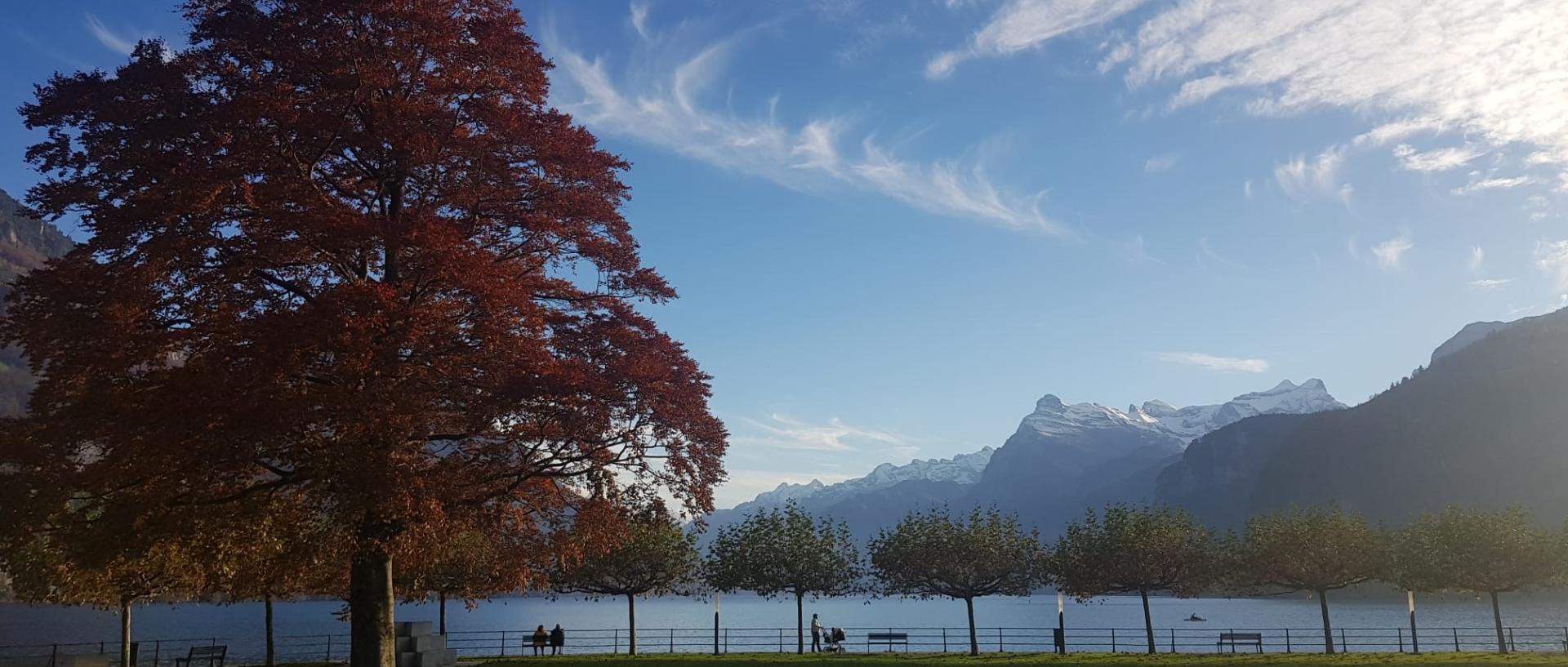 suiza3