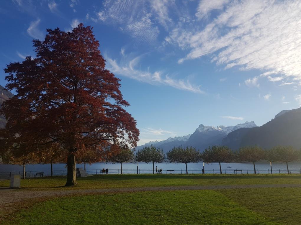 suiza3