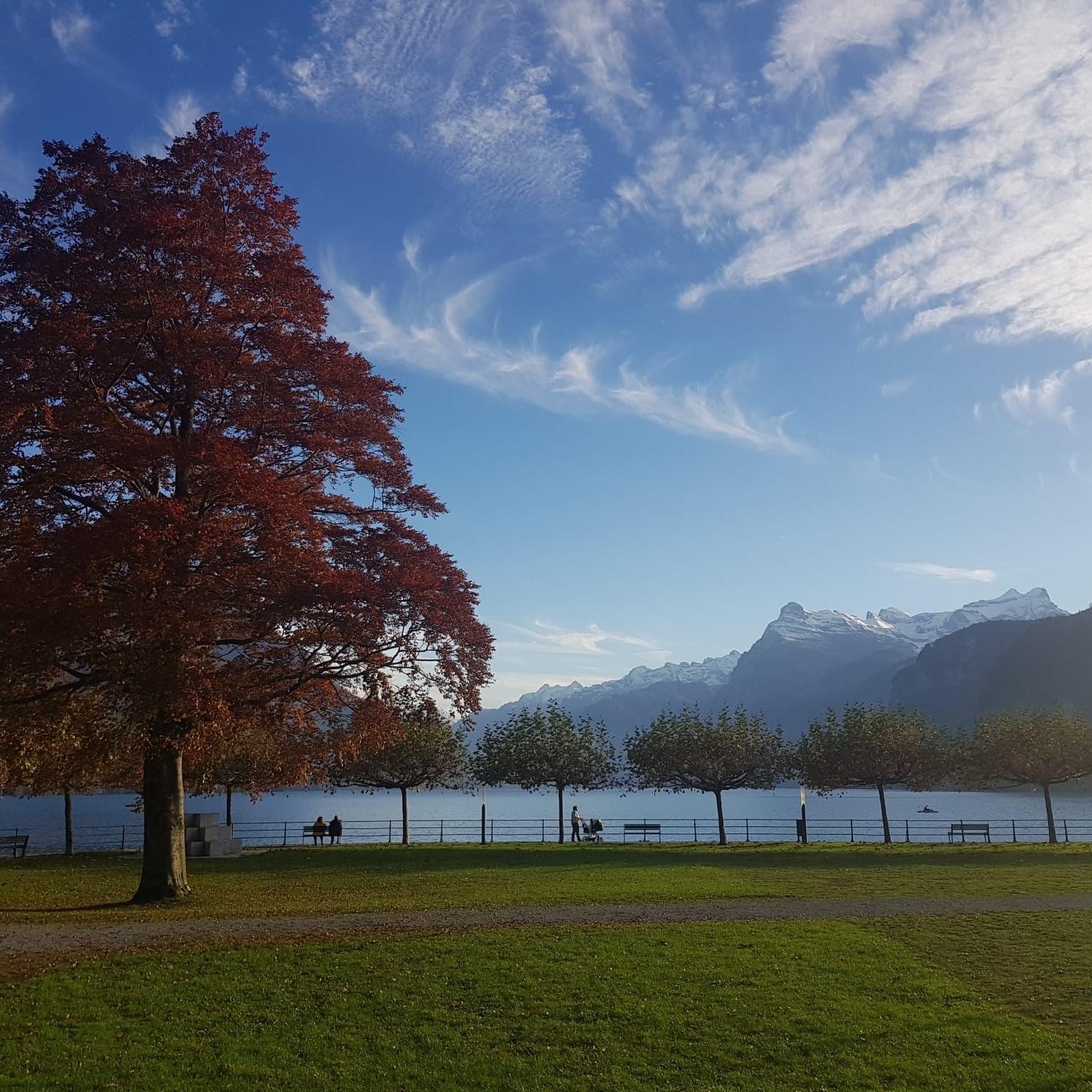 suiza3