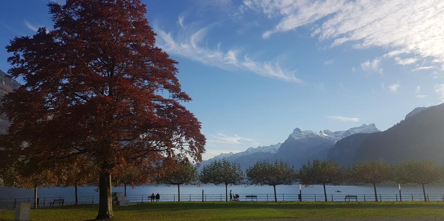 suiza3