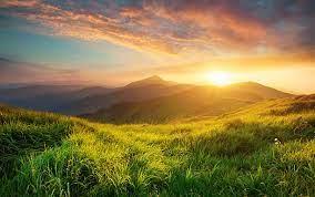 Naturaleza vistas
